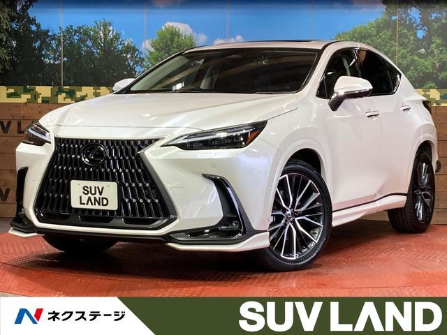TOYOTA / LEXUS NX450h+ AWD