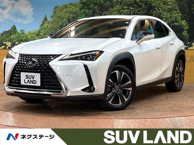 TOYOTA / LEXUS UX250h