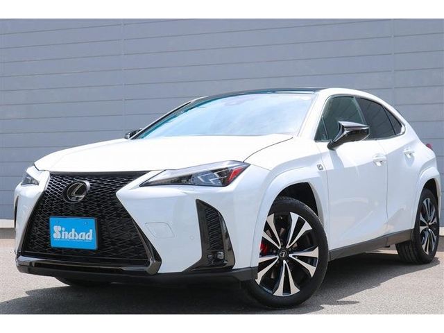TOYOTA / LEXUS UX250h
