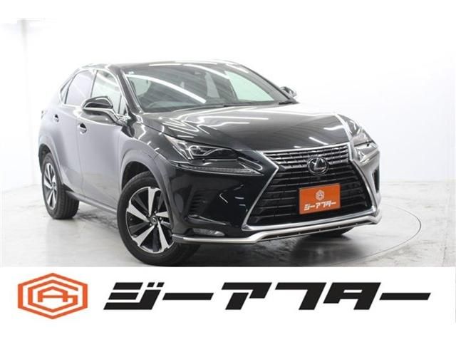 TOYOTA / LEXUS NX300