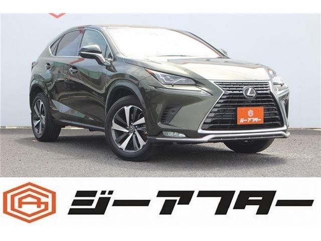 Japanese used car Ref# 1566906 TOYOTA / LEXUS NX300
