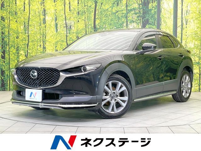Japanese used car Ref# 1567061 MAZDA / CX-30