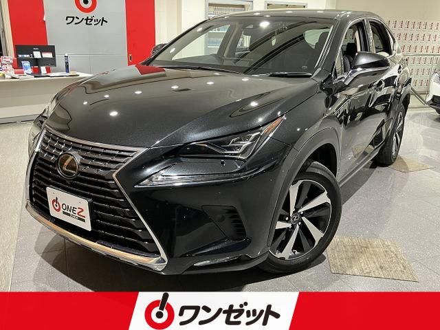 TOYOTA / LEXUS NX300