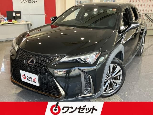 TOYOTA / LEXUS UX250h