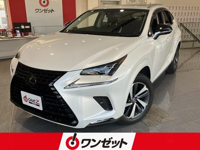 TOYOTA / LEXUS NX300 AWD