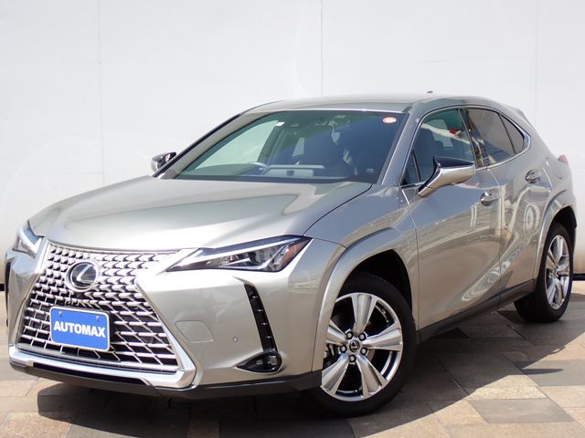 TOYOTA / LEXUS UX250h