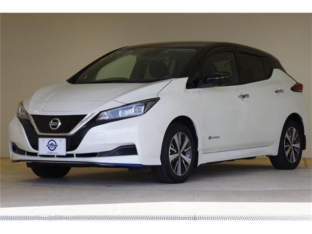 NISSAN / LEAF