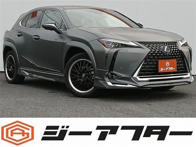 TOYOTA / LEXUS UX300e