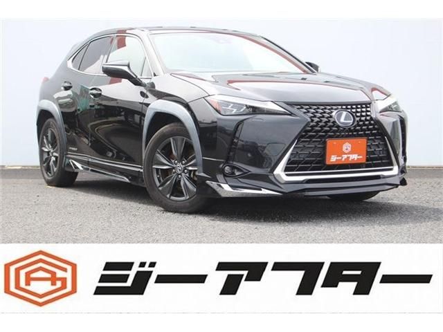 TOYOTA / LEXUS UX250h