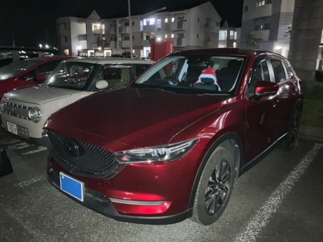 Japanese used car Ref# 1570312 MAZDA / CX-5