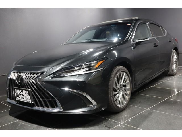 TOYOTA / LEXUS ES300h
