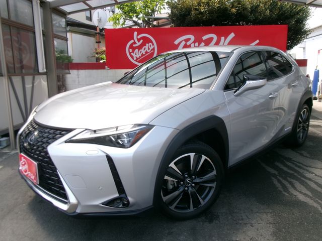 TOYOTA / LEXUS UX250h