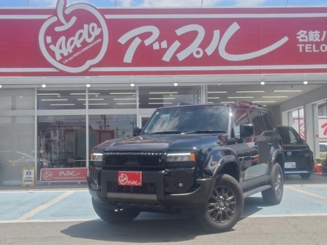 TOYOTA / LANDCRUISER 250