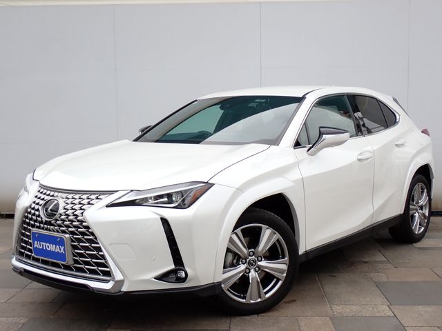 TOYOTA / LEXUS UX250h