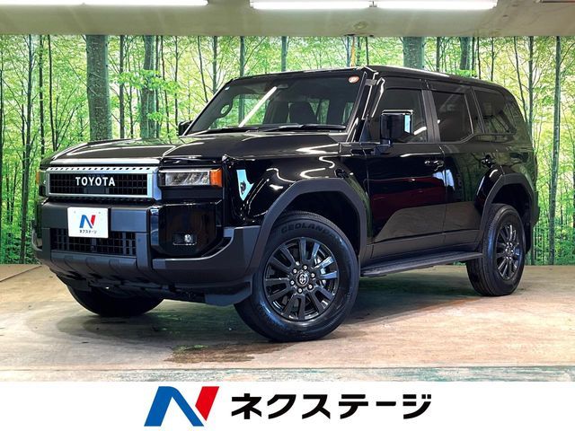 TOYOTA / LANDCRUISER 250