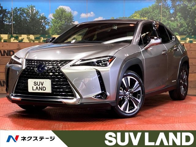TOYOTA / LEXUS UX250h