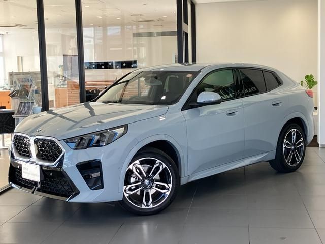 BMW / BMW X2