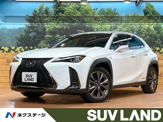 TOYOTA / LEXUS UX250h