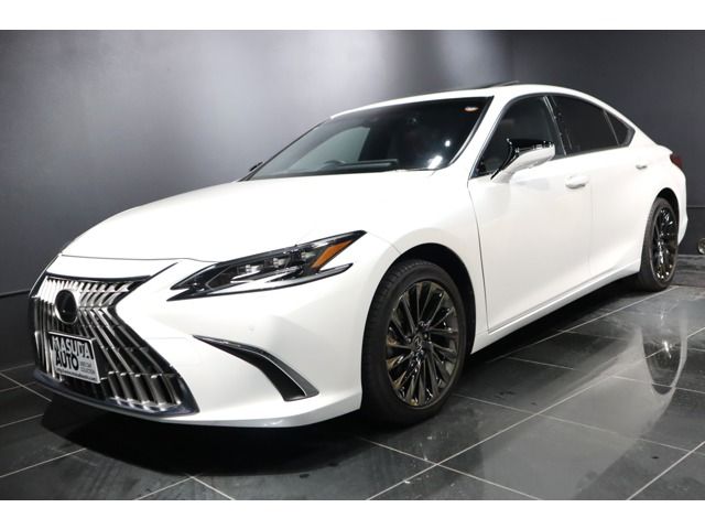 TOYOTA / LEXUS ES300h