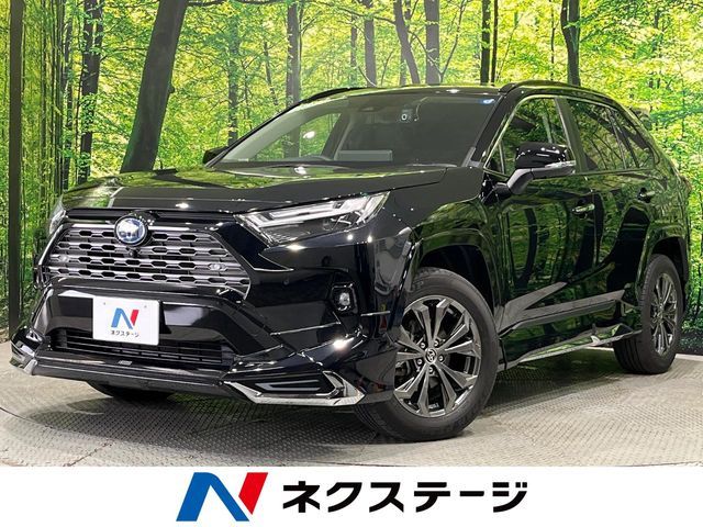 TOYOTA / RAV4 HYBRID 4WD