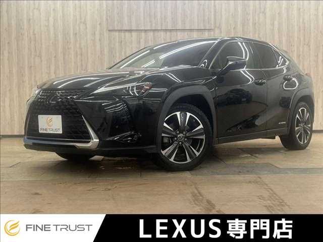 TOYOTA / LEXUS UX250h