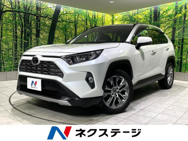 TOYOTA / RAV4 4WD