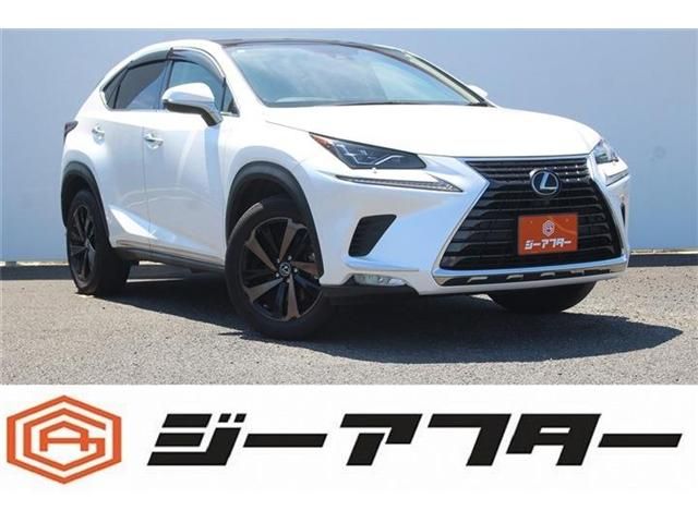 TOYOTA / LEXUS NX300 AWD