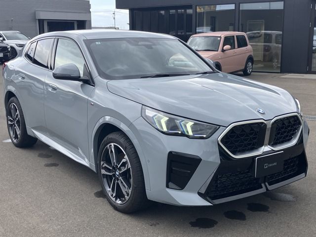 BMW / BMW X2