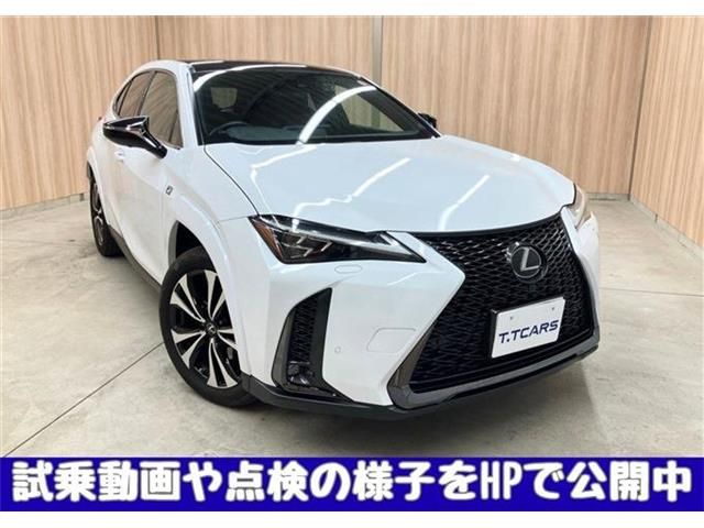 TOYOTA / LEXUS UX250h