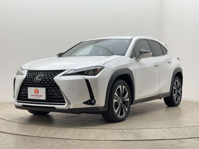 TOYOTA / LEXUS UX250h