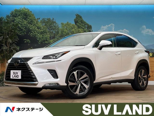 TOYOTA / LEXUS NX300 AWD