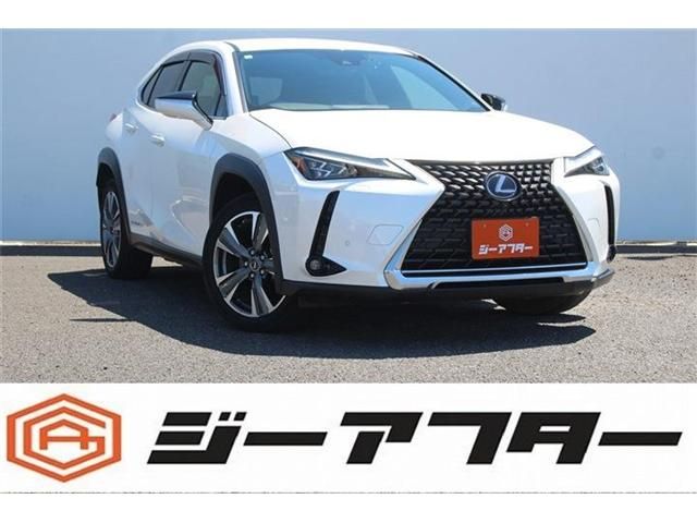 TOYOTA / LEXUS UX300e