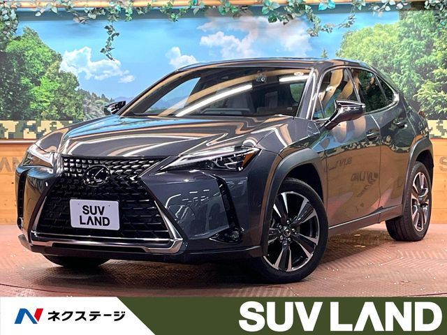 TOYOTA / LEXUS UX250h