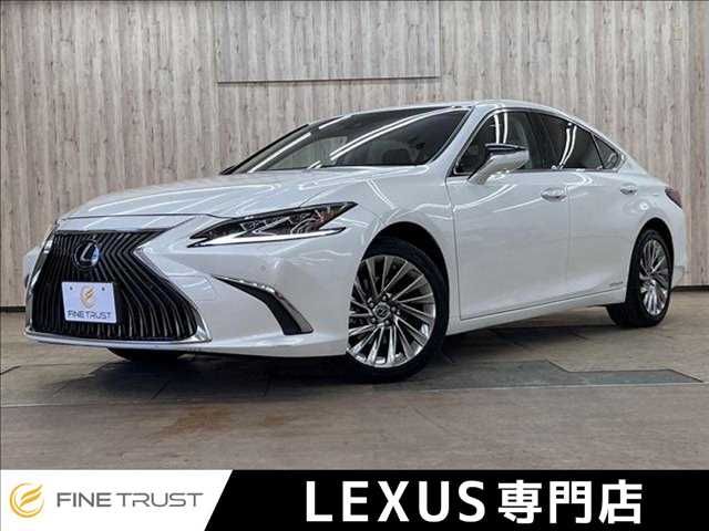 TOYOTA / LEXUS ES300h