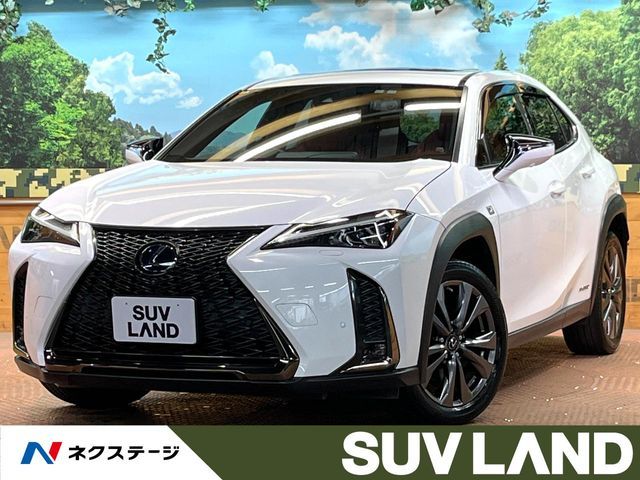 TOYOTA / LEXUS UX250h