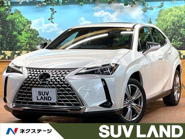TOYOTA / LEXUS UX250h