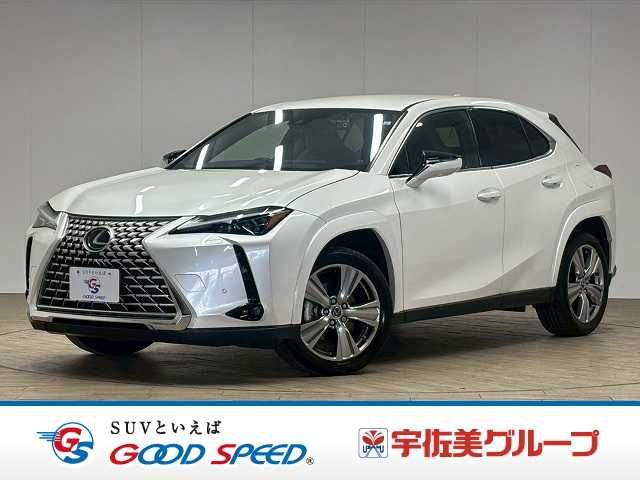 TOYOTA / LEXUS UX250h AWD