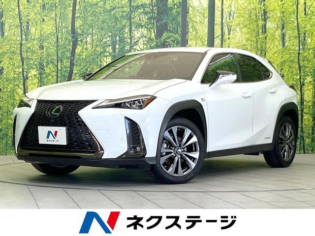 TOYOTA / LEXUS UX250h