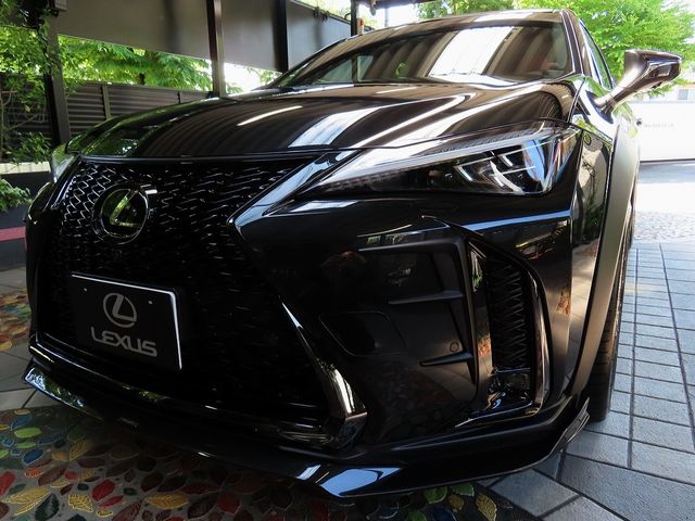 TOYOTA / LEXUS UX300h