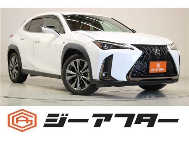 TOYOTA / LEXUS UX250h