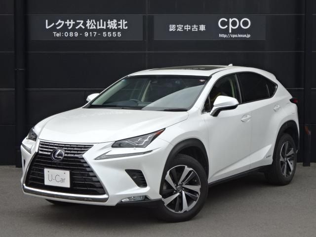 TOYOTA / LEXUS NX300h