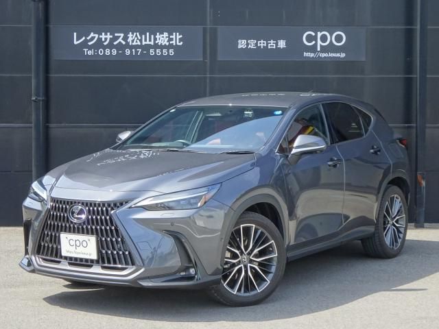 TOYOTA / LEXUS NX450h+ AWD