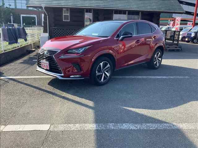 TOYOTA / LEXUS NX300