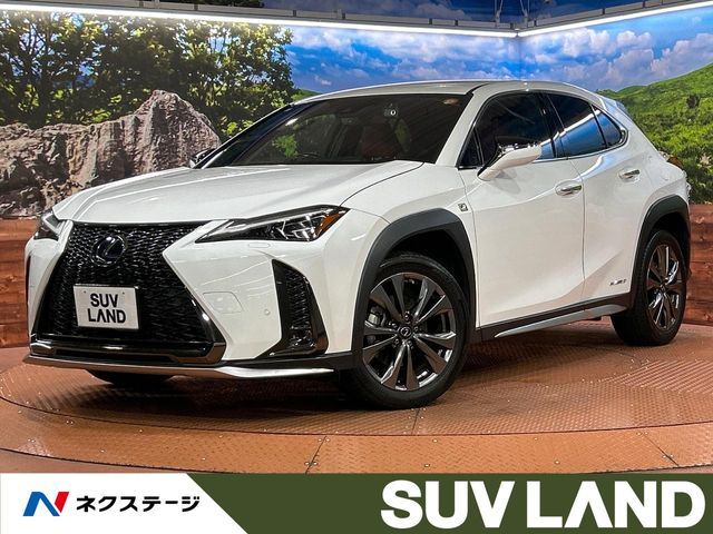 TOYOTA / LEXUS UX250h