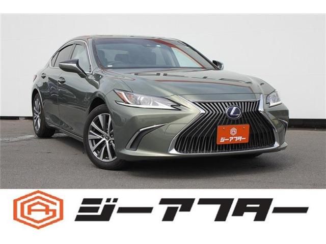 TOYOTA / LEXUS ES300h