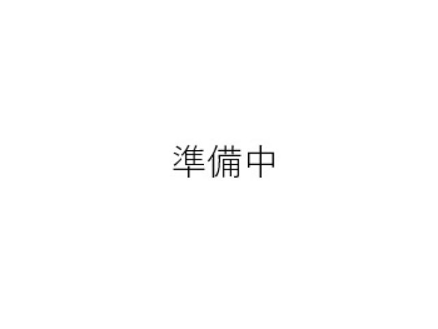 Japanese used car Ref# 1587750 TOYOTA / C-HR