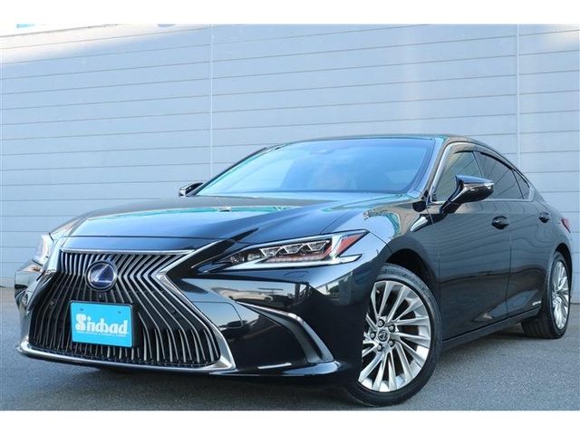 TOYOTA / LEXUS ES300h