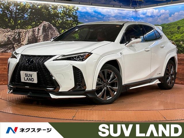 TOYOTA / LEXUS UX250h