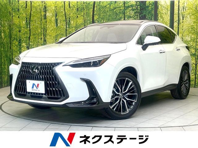 Japanese used car Ref# 1589665 TOYOTA / LEXUS NX250