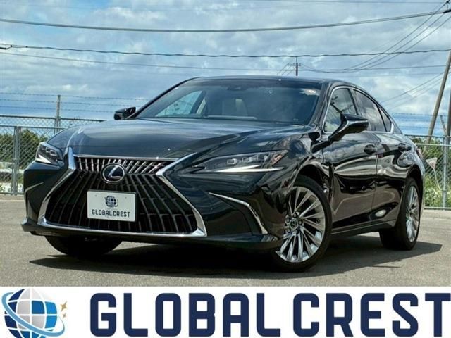 TOYOTA / LEXUS ES300h